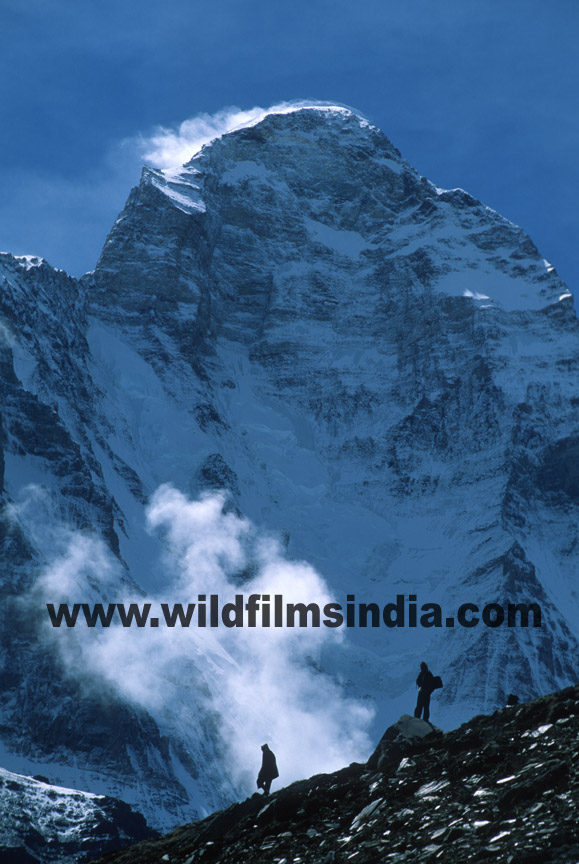 Mumbai: Wilderness Films India Ltd.