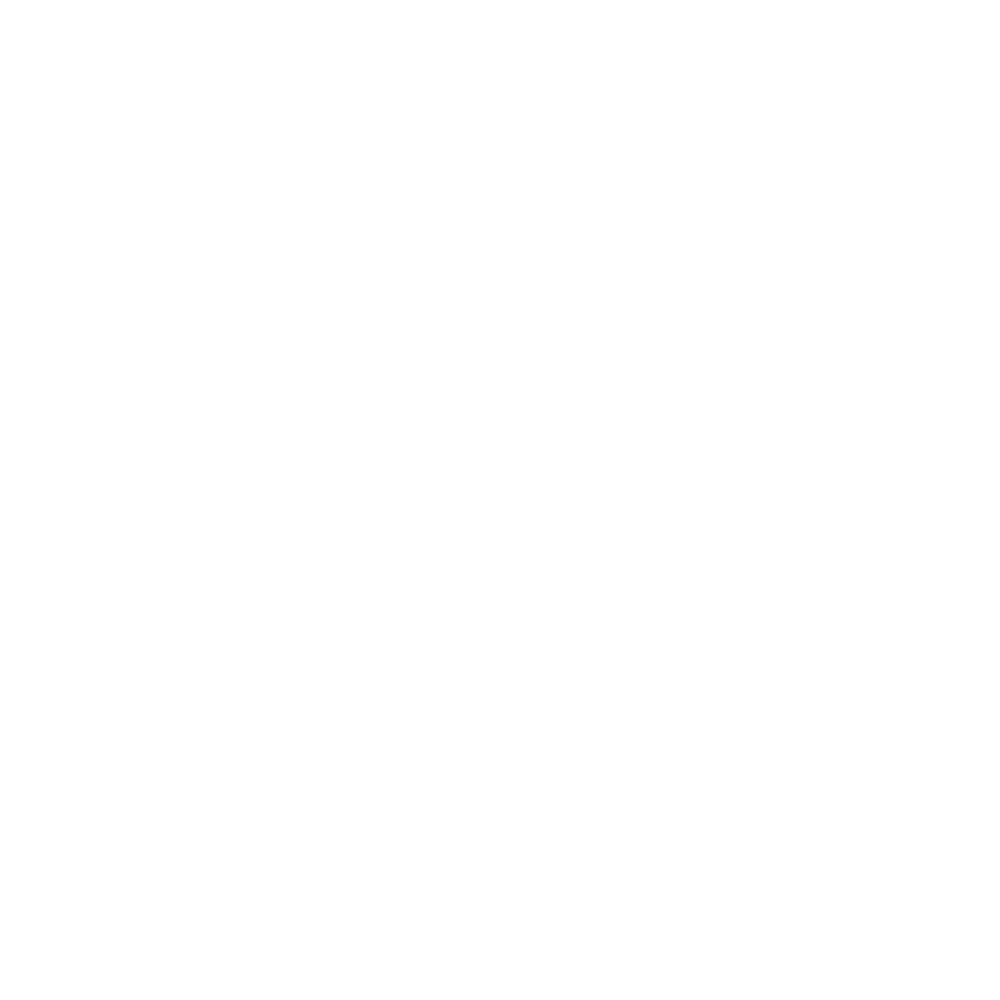 Agency MJ