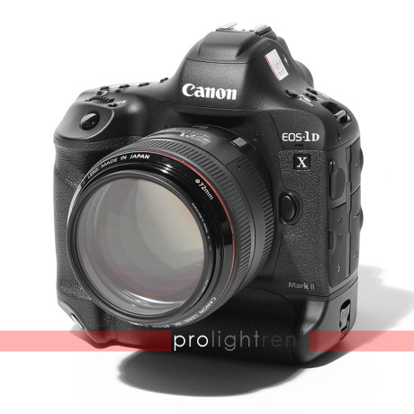 Canon EOS 1DX Mark II gallery