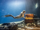 UNDERWATER PHOTOGRAPHY + MOTION