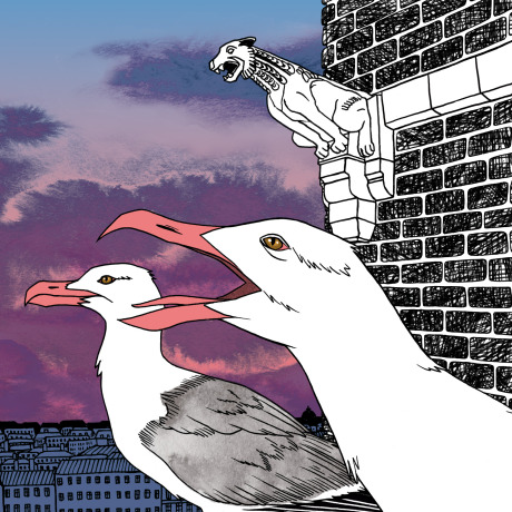 Personal Work: The Seagulls in the city gallery