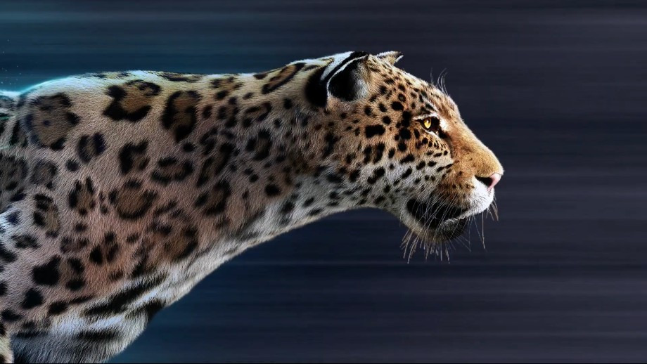  Making of Jaguar Electrified gallery