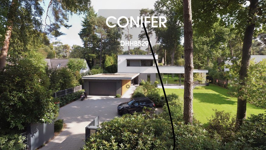 Location: House Conifer, 360° Virtual Tour gallery
