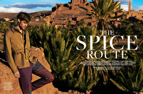  The Spice Route - Ram Shergill gallery