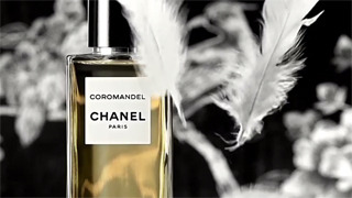 Director: Thomas De Monaco for Chanel gallery
